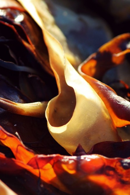 Souvenir sentimental